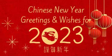 2023 chinese new year of the rabbit in red and gold