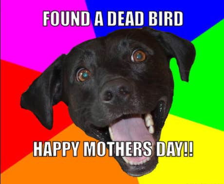 funny mother's day memes